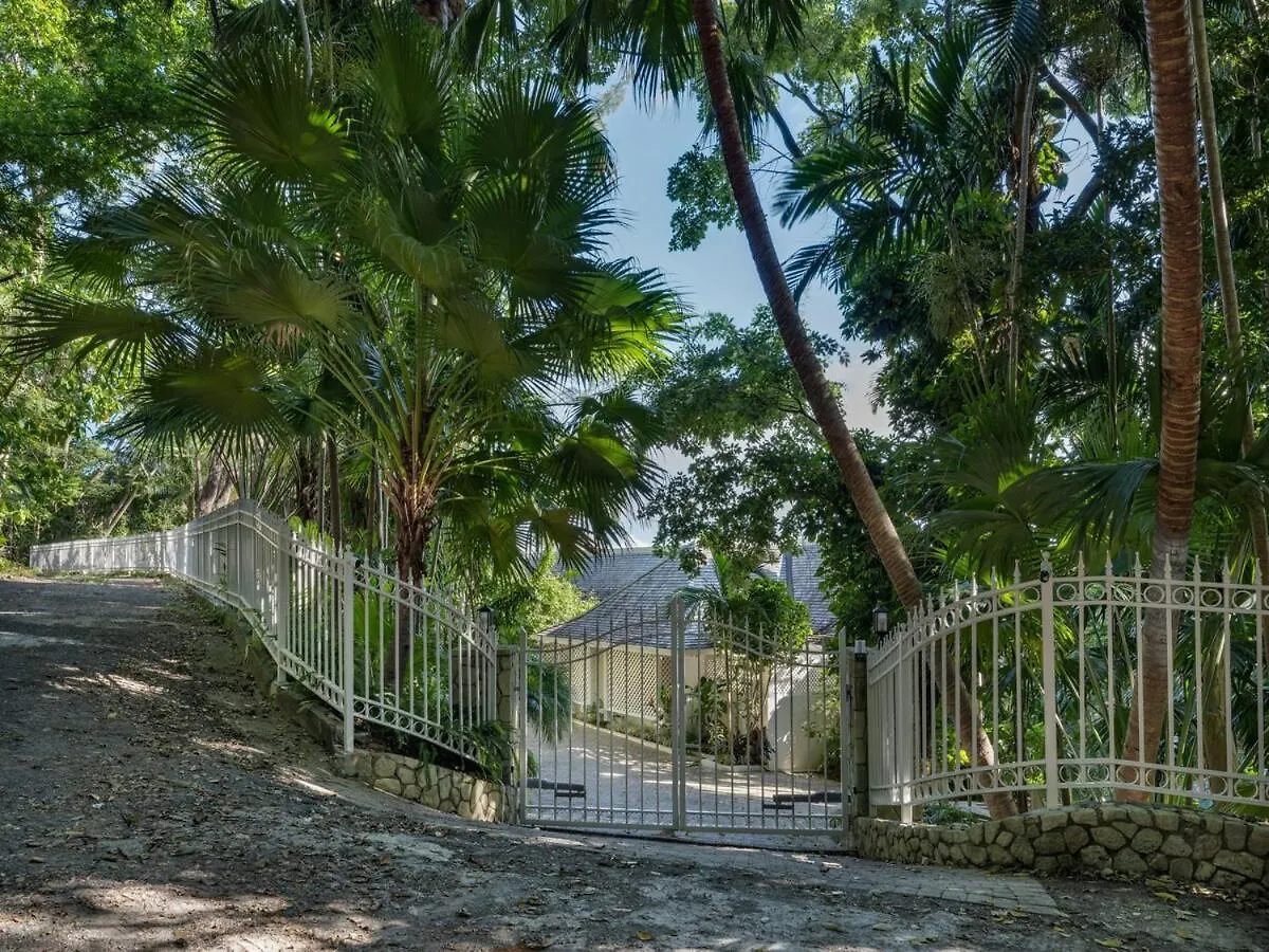 Villa Jamille - Stunningly Designed Villa With Pool, Sauna, & Ocean Views Port Antonio